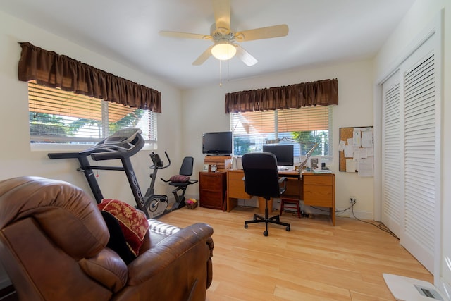 1503 Shirley Ct, Lake Worth, FL 33461 - office with light wood-style floors, plenty of natural light, ceiling fan, and baseboards