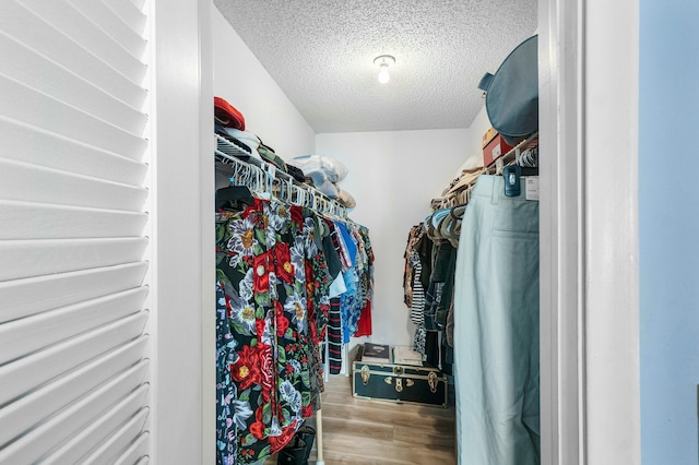 spacious closet featuring light hardwood / wood-style floors