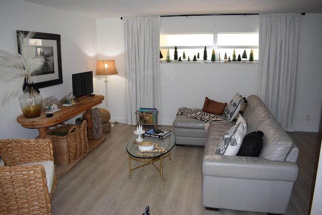 living room featuring light wood-type flooring