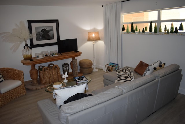 living room featuring hardwood / wood-style flooring