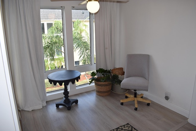 living area featuring wood-type flooring