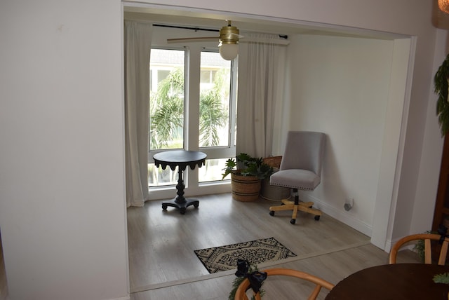 living area featuring a healthy amount of sunlight and light wood-type flooring