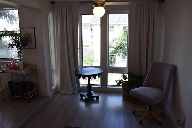 sitting room featuring wood-type flooring and a healthy amount of sunlight