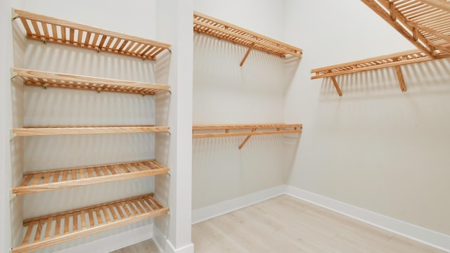 spacious closet with wood-type flooring