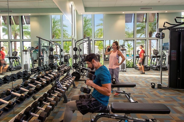 gym featuring a towering ceiling, carpet flooring, and a drop ceiling