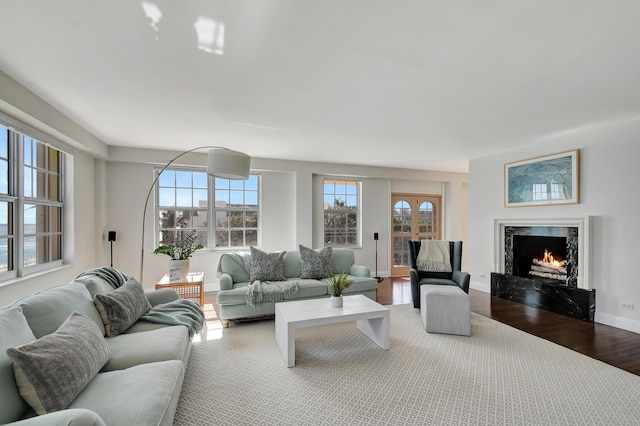 living room with hardwood / wood-style flooring and a high end fireplace