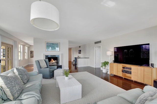 living room featuring hardwood / wood-style flooring and a fireplace