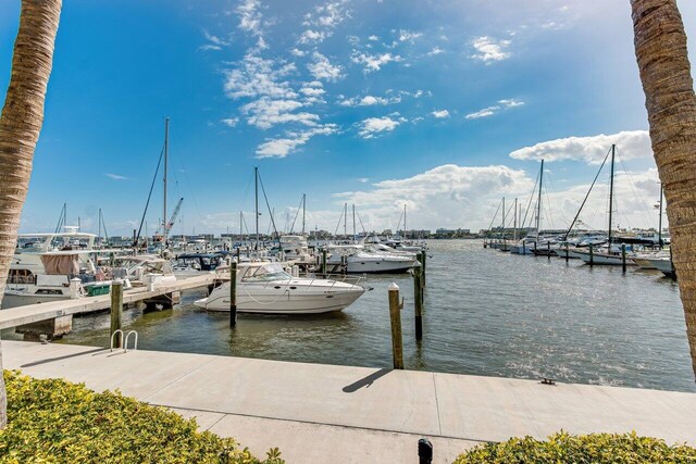 dock area with a water view