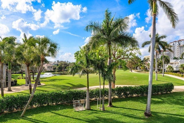 view of property's community featuring a yard