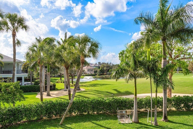 view of property's community with a lawn