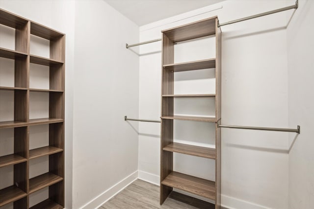 spacious closet with light wood-type flooring