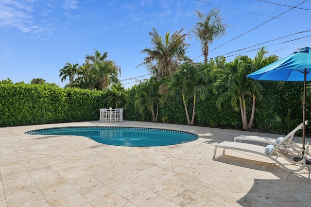 view of pool featuring a patio area