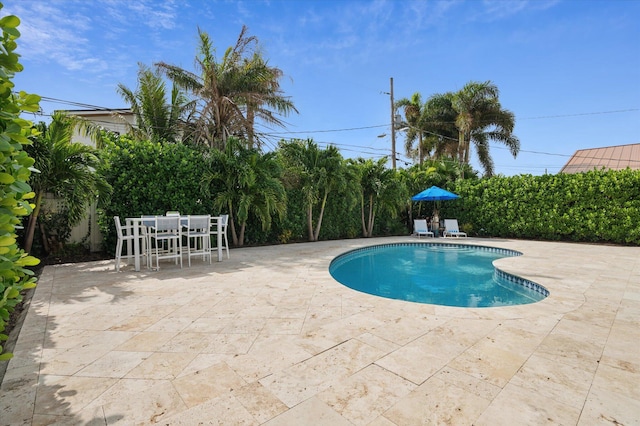 view of swimming pool featuring a patio area