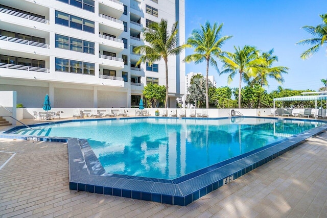 view of swimming pool