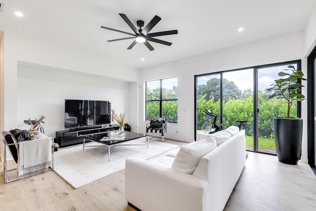 living room with light hardwood / wood-style floors and ceiling fan