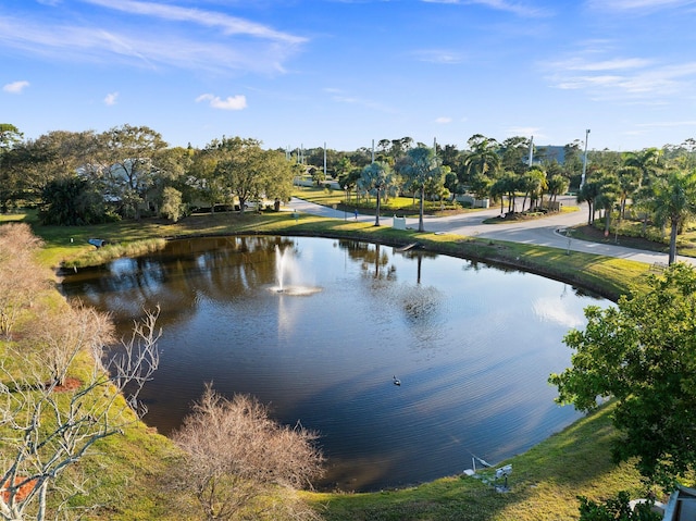 water view