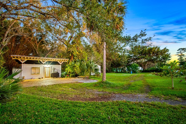 view of yard featuring a patio area