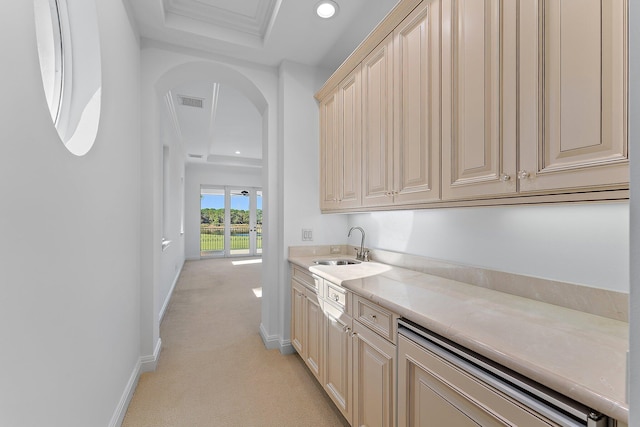 kitchen with a raised ceiling, light carpet, sink, and ornamental molding