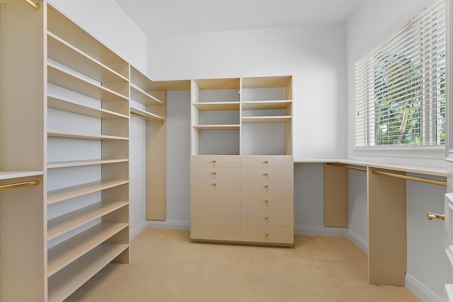 spacious closet with light colored carpet