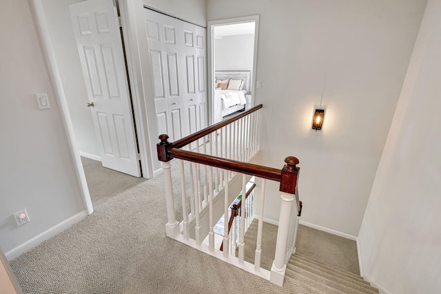 stairway featuring carpet floors