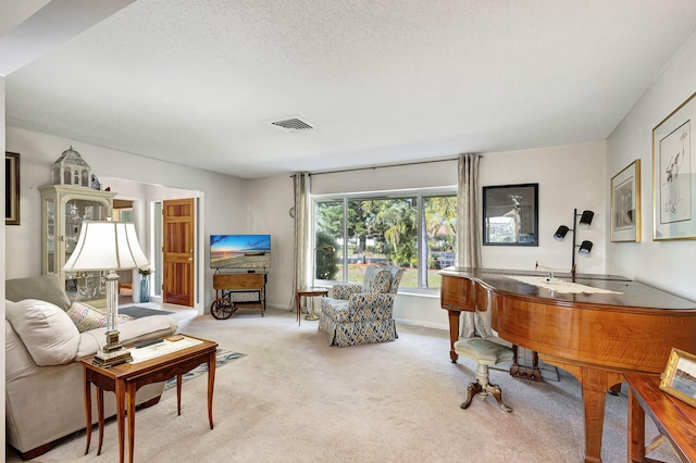 carpeted living room featuring a textured ceiling