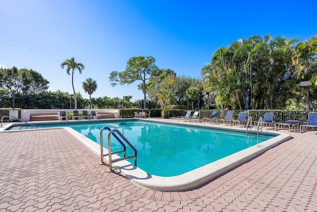 view of pool with a patio