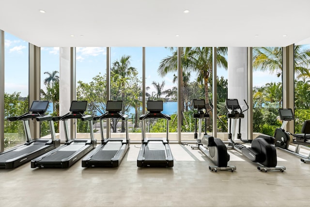 workout area with plenty of natural light and a wall of windows