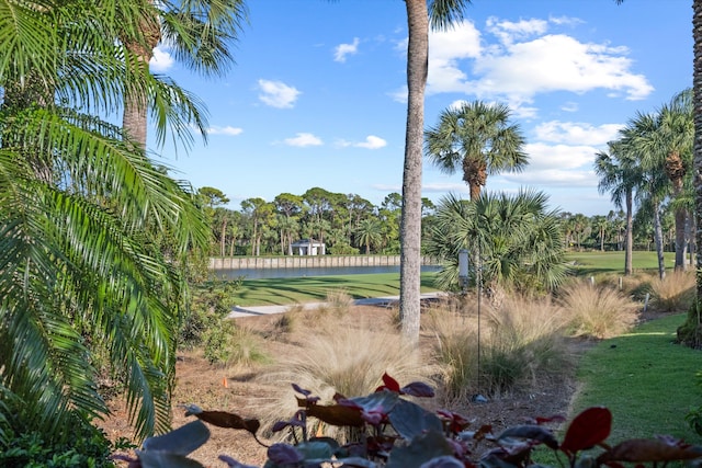 view of yard featuring a water view