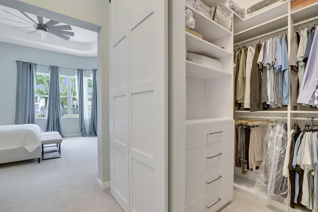 walk in closet with light colored carpet and ceiling fan