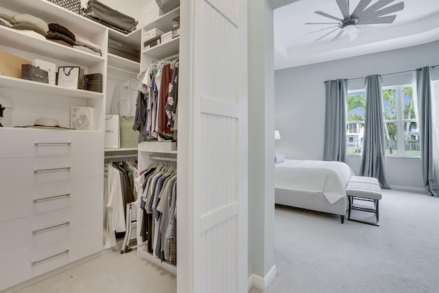 spacious closet with light carpet