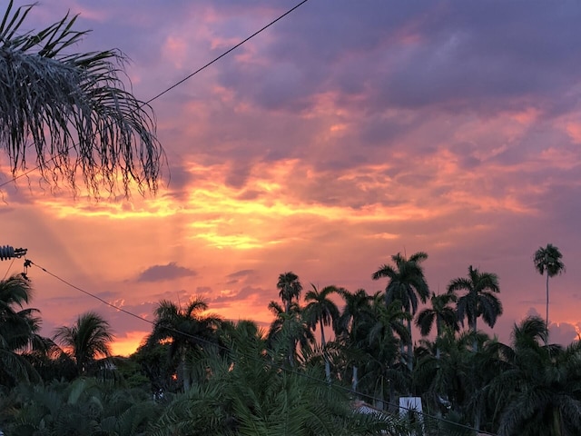 view of nature at dusk