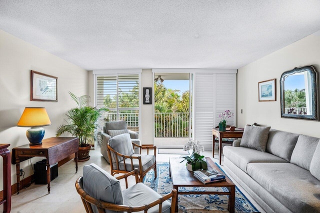 living room featuring a textured ceiling