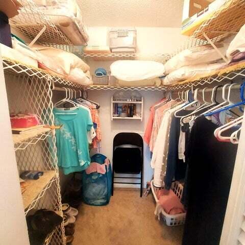 spacious closet featuring carpet