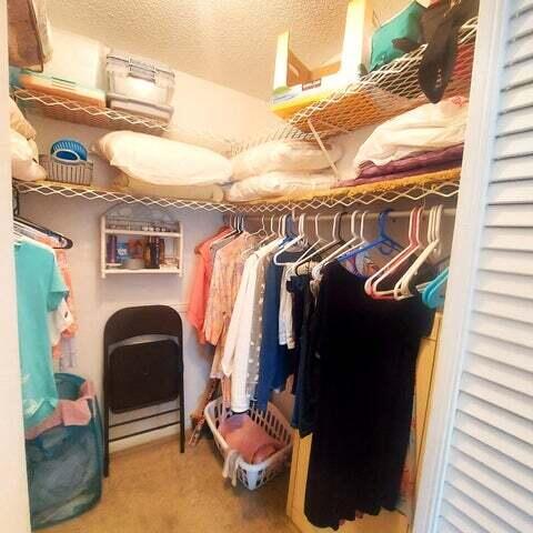 spacious closet featuring carpet floors