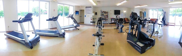 workout area featuring floor to ceiling windows and a healthy amount of sunlight