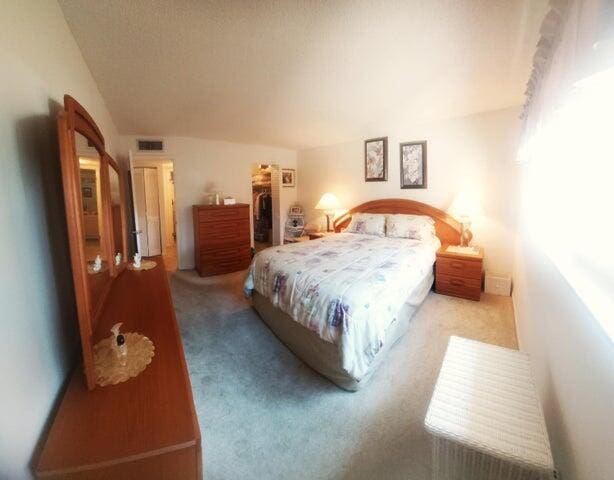 bedroom featuring light colored carpet and a walk in closet