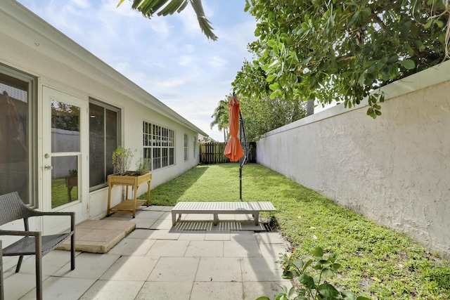 view of yard featuring a patio area