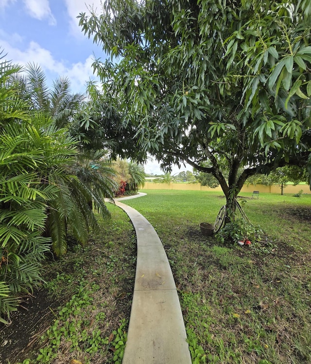 view of yard