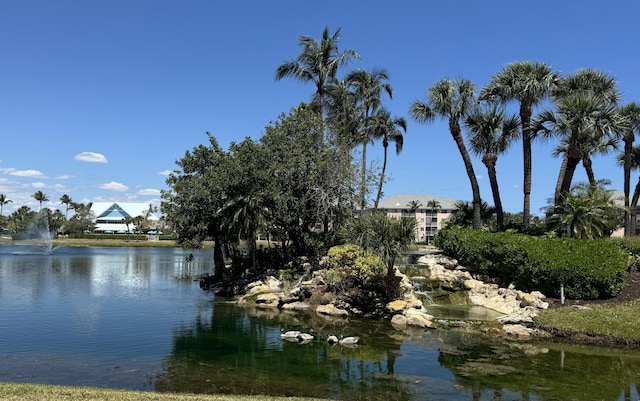 property view of water