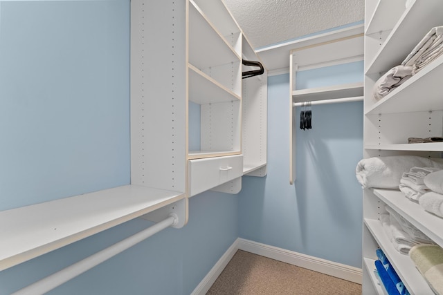 spacious closet with carpet