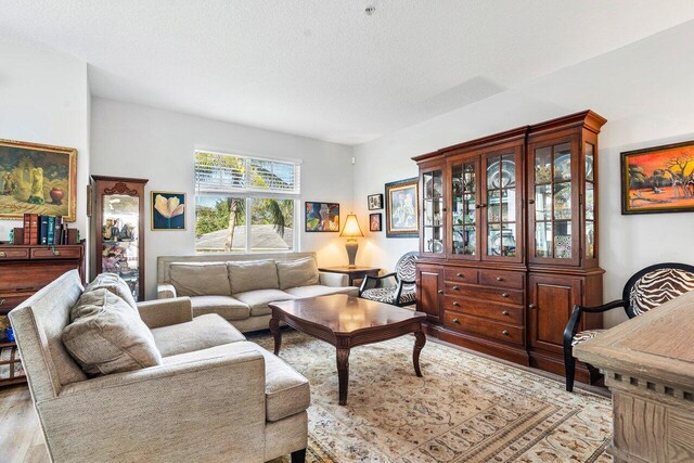 living room featuring light hardwood / wood-style flooring and a textured ceiling