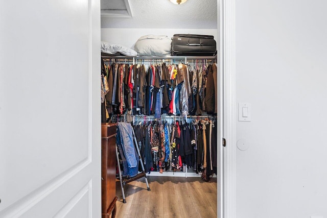 spacious closet featuring hardwood / wood-style flooring