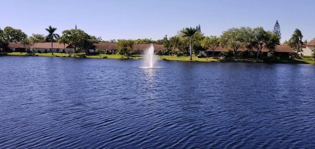 view of water feature