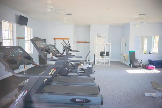 exercise room with electric panel, ceiling fan, and plenty of natural light