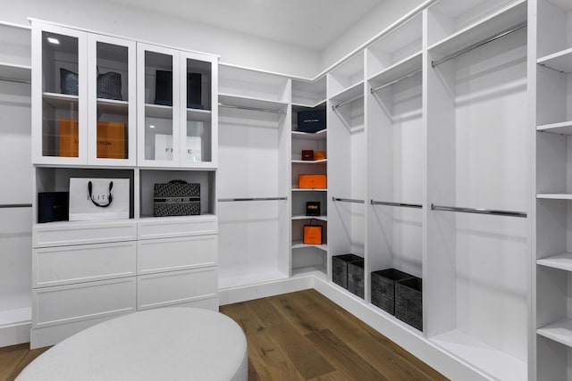 spacious closet with dark wood-type flooring