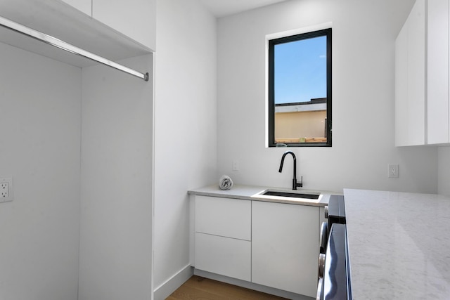 bathroom featuring wood-type flooring and sink