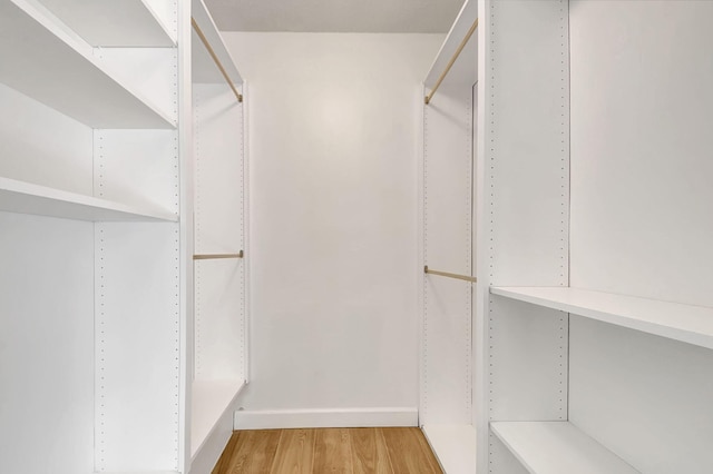 walk in closet featuring hardwood / wood-style flooring