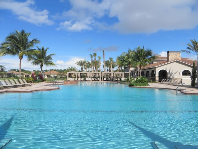 view of pool featuring a patio area