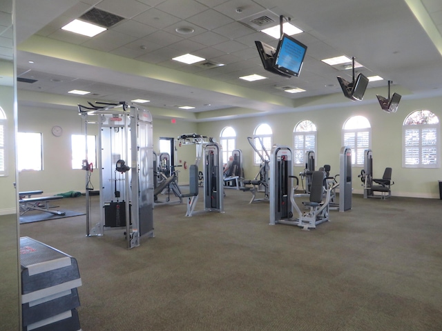 workout area featuring a paneled ceiling and carpet