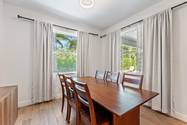 dining space featuring light hardwood / wood-style floors